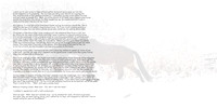 Hog Back Horse Story ds copy